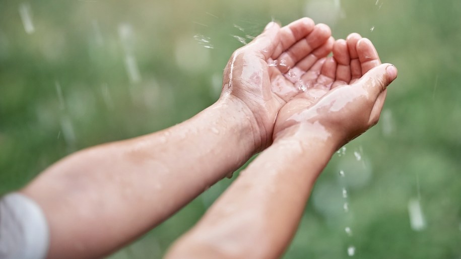 "Złap deszcz" i zaoszczędź pieniądze. Kolejna edycja wrocławskiego programu