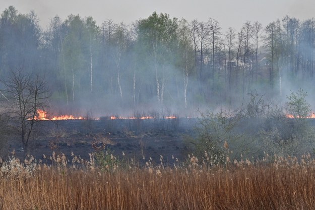 Strażacy już wyjeżdżają do pierwszych pożarów traw