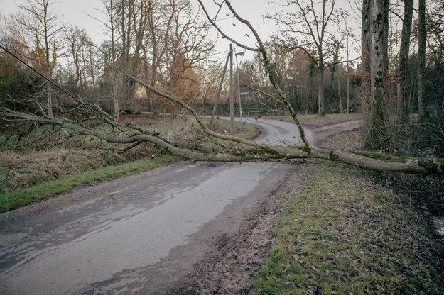 Silny wiatr w Lubelskiem. Są interwencje straży