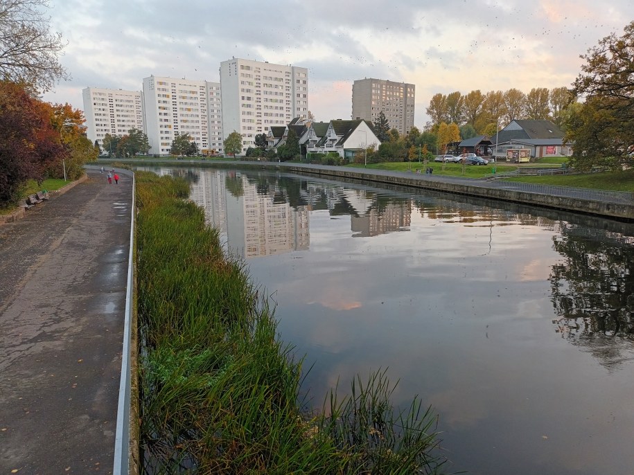Za i przeciw ws. "ustawy antyfliperskiej". Komentarze ekspertów