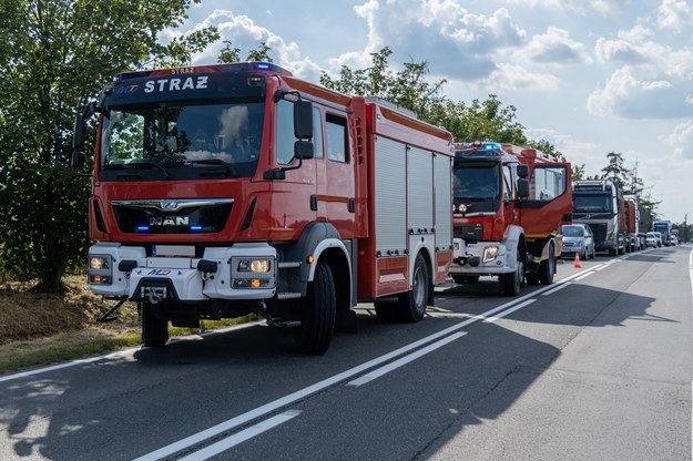 Pożar w lesie koło Torunia