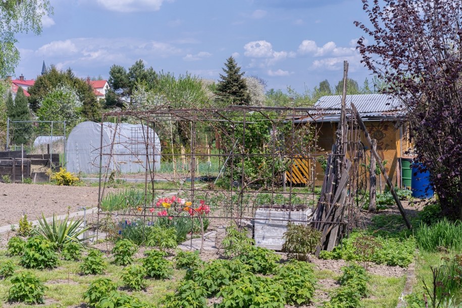 Nie podlewajcie ogródków! Apelują władze gminy