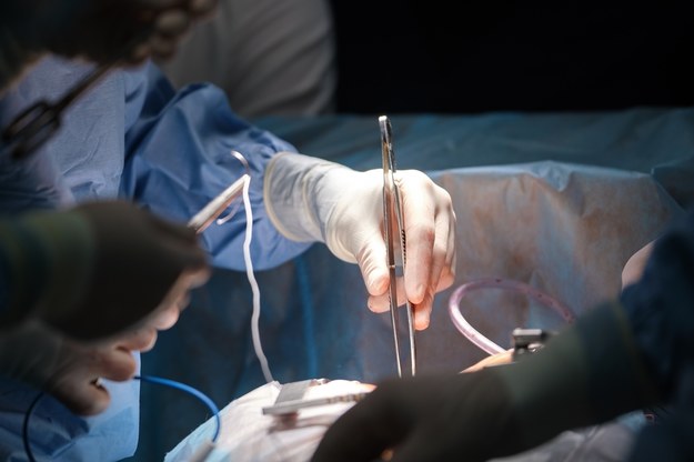 Lekarze przeszczepili 72-letniej kobiecie wątrobę 98-latka
