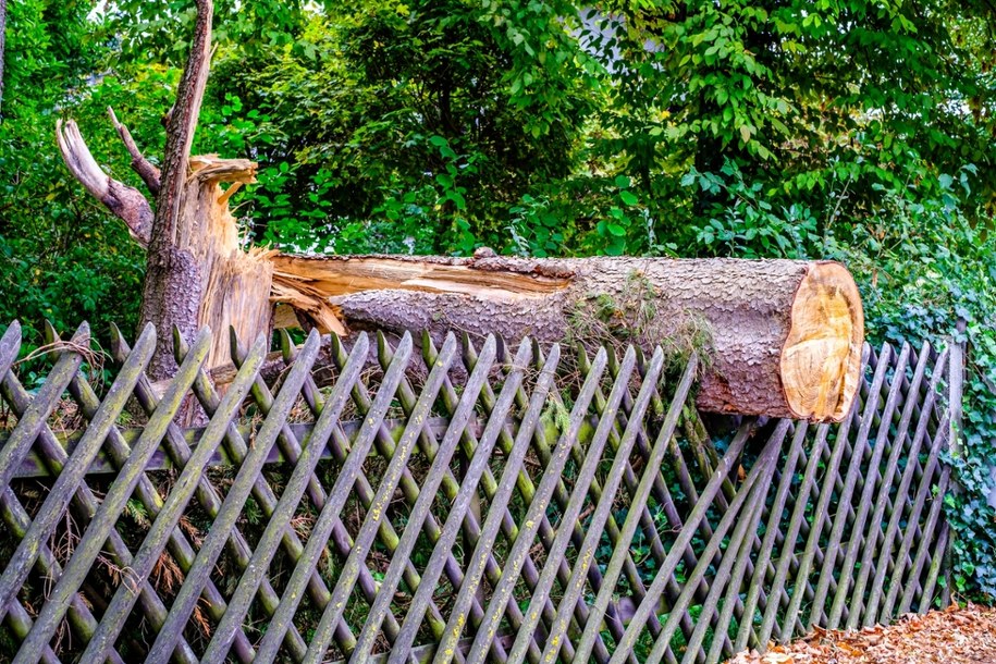 ​Zerwane dachy, jedna osoba ranna. Burze przeszły nad Śląskiem