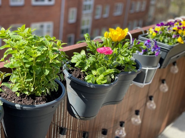 Masz piękny balkon i mieszkasz w Katowicach? Możesz wygrać nawet 2,5 tys. złotych