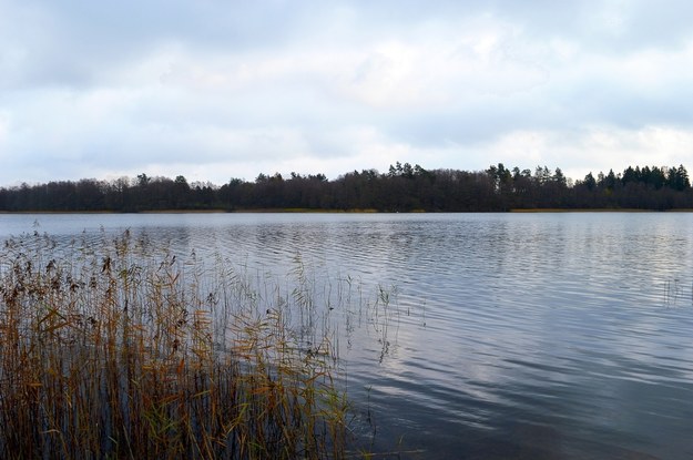 Biała flaga nad jeziorem Ukiel w Olsztynie