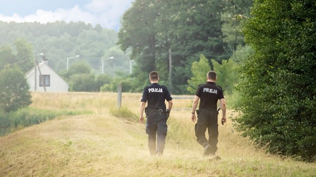 Zwłoki kobiety znalezione w polu kukurydzy