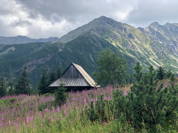 Prawie 3 mln turystów do końca lipca. Tatry biją rekord popularności