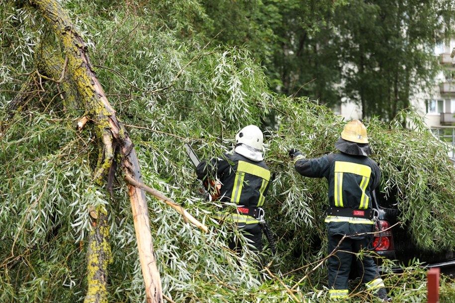 Burze na Podkarpaciu. Połamane drzewa, uszkodzone auta