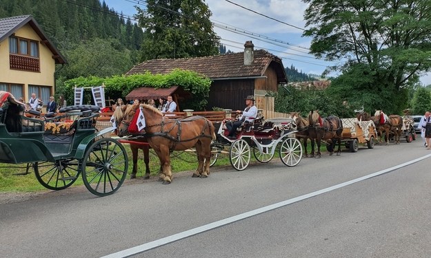 Koń kopnął 14-latka. O krok od tragedii podczas orszaku weselnego