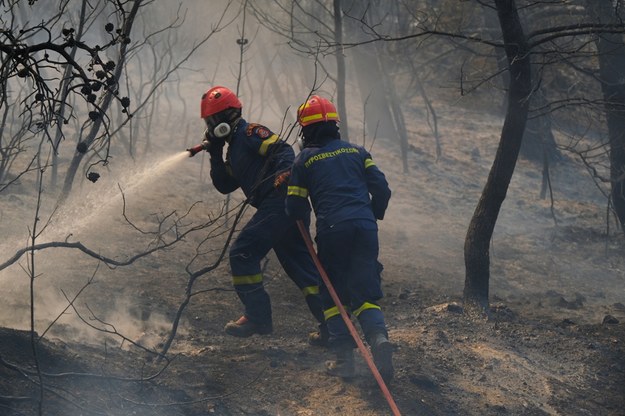 Podpalała, aby flirtować ze strażakami. 44-latka skazana