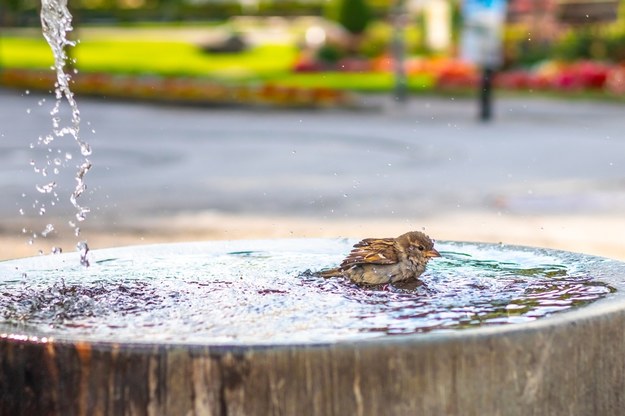 Alerty i upał. Prognoza pogody na weekend