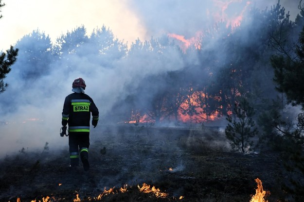 Ekstremalne zagrożenie pożarowe w lasach