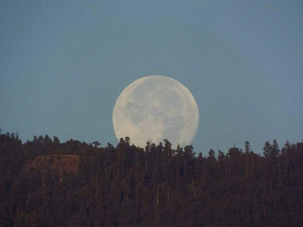 Na niebie będą dwa Księżyce. Sensacyjne doniesienia astronomów