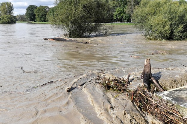 Przedsiębiorca przekopał wał, by ratować swój biznes? Sprawie przyjrzą się biegli