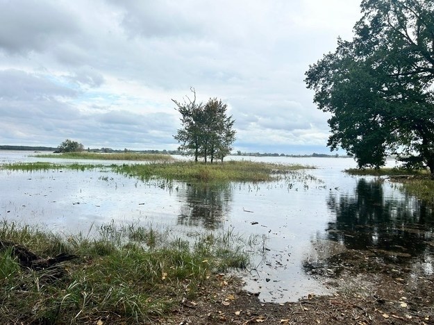 Duże spadki wody w Krośnie Odrzańskim. Fala zbliża się do Kostrzyna nad Odrą