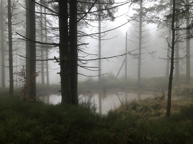 Ślisko, mgliście i zimno. Trudne warunki w Beskidach