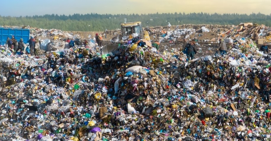 Marnujemy żywność na potęgę. Zatrważające dane z Polski i UE