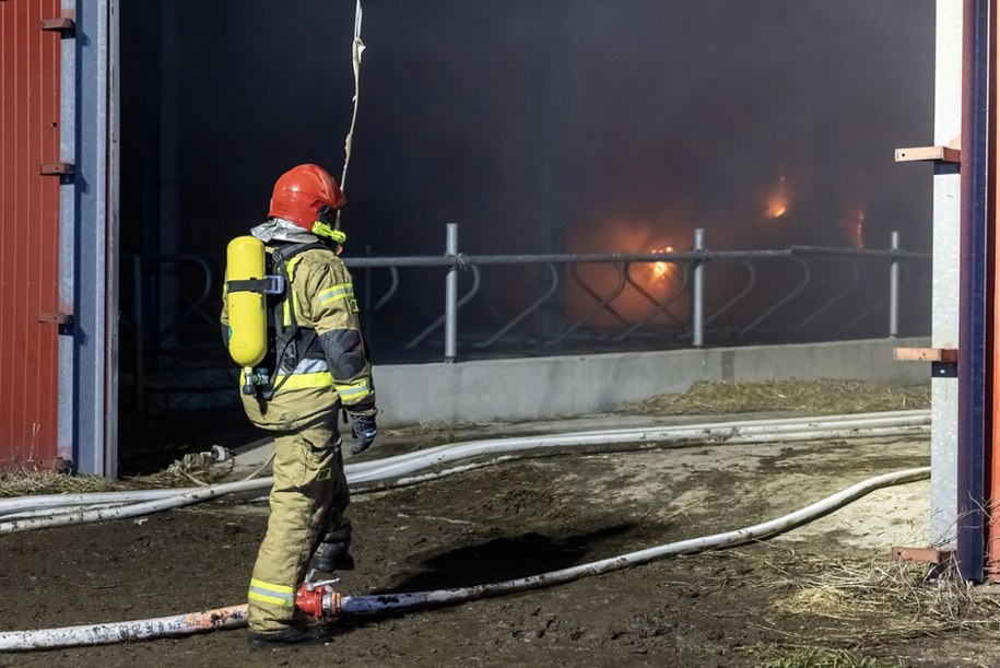 Pożar hali w Komorowie na Dolnym Śląsku. Sprawę zbada prokuratura