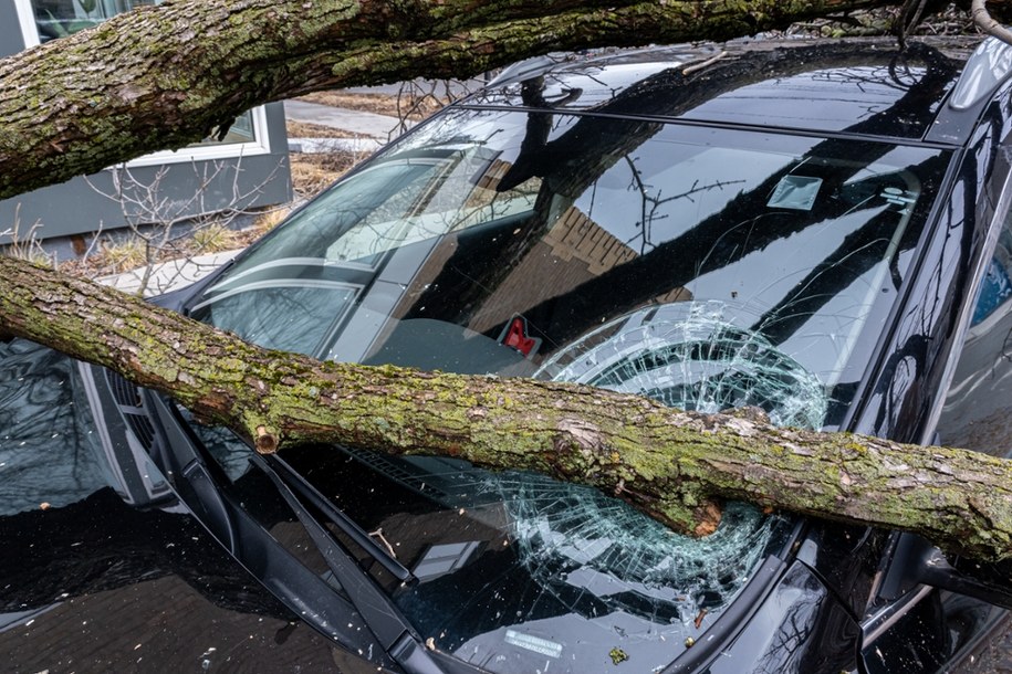 Wichura w Koszalinie. Drzewo spadło na samochód, jedna osoba ranna