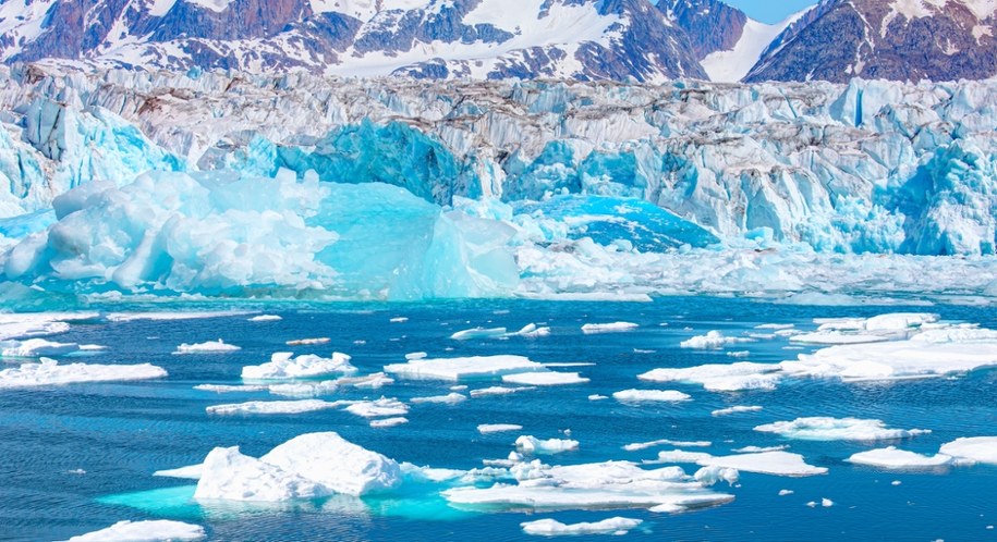 Glony mogą powodować szybsze topnienie Grenlandii