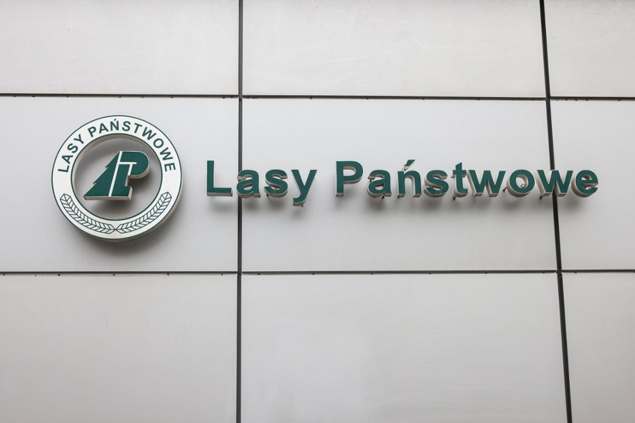 Zarzuty dla byłych dyrektorów Lasów Państwowych
