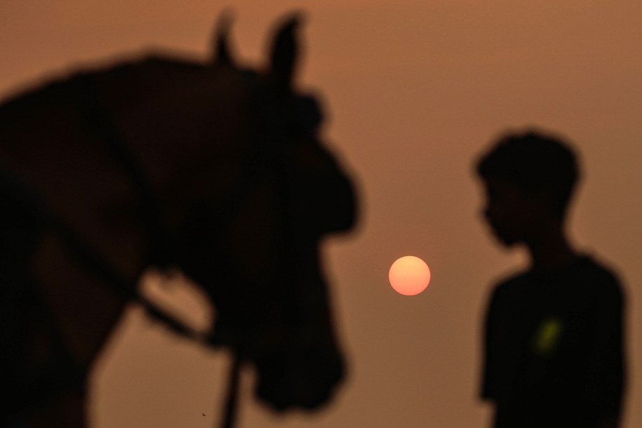 Kiedy koń stał się motorem napędowym ludzkiej cywilizacji?