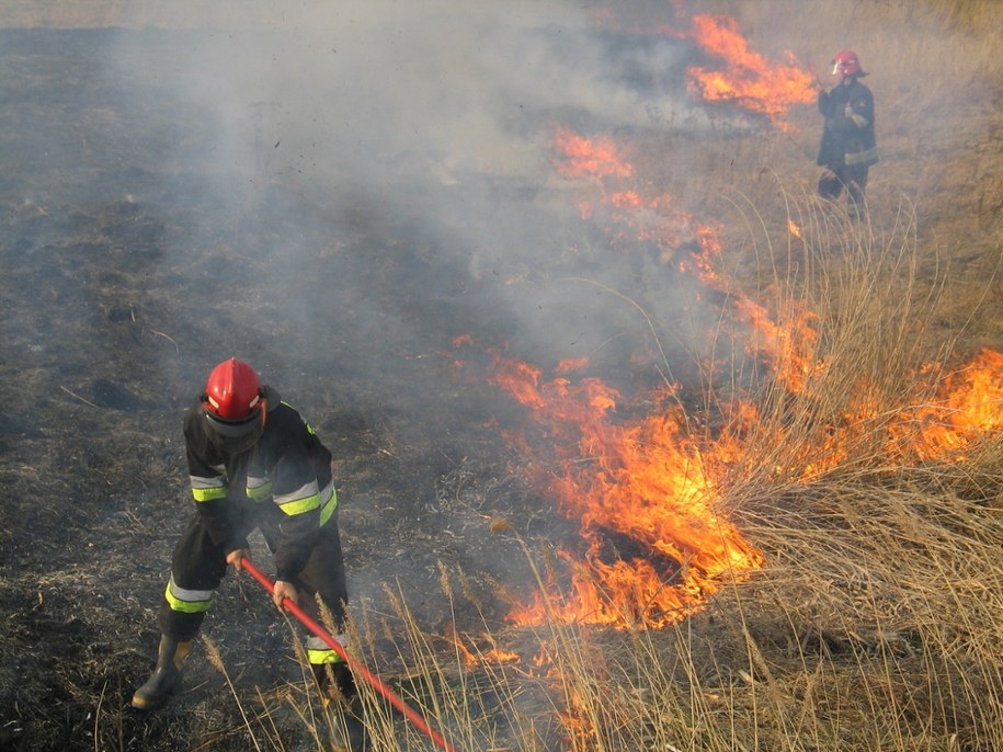 Tragedia pod Krakowem. 78-latek zginął podczas wypalania traw