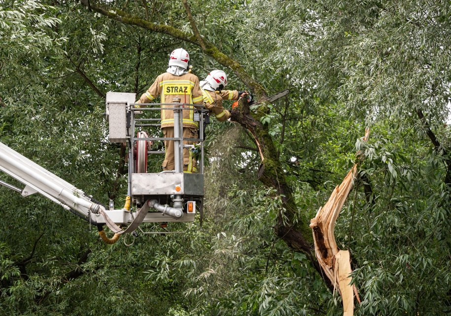 Załamanie pogody: Drzewo zwaliło się na przystanek, setki zgłoszeń z całego kraju