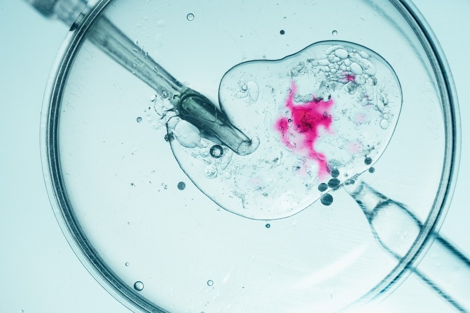 Błąd w in vitro. Kobieta urodziła dziecko innej parze