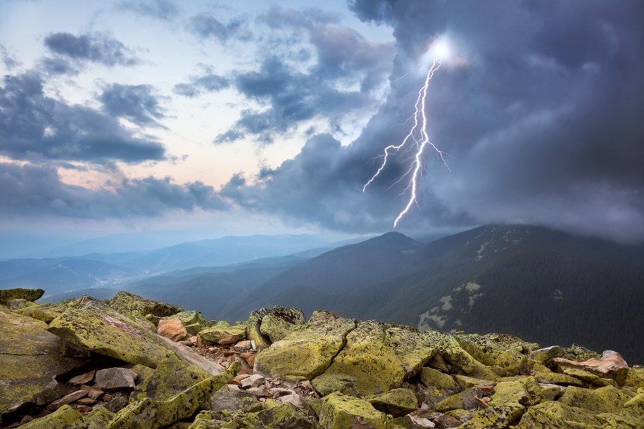 Zdjęcie ilustracyjne /Shutterstock