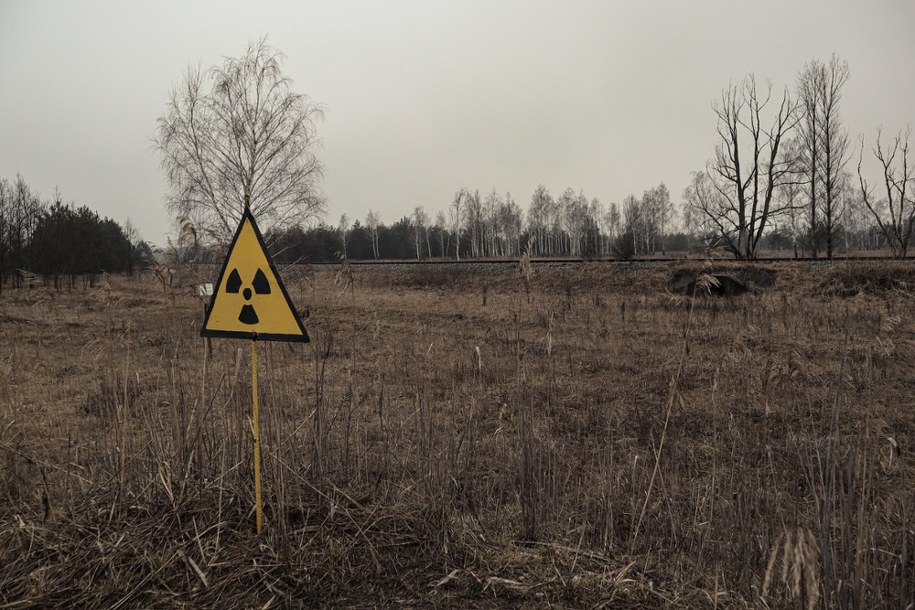 W Czarnobylu zauważono psy z niebieską sierścią