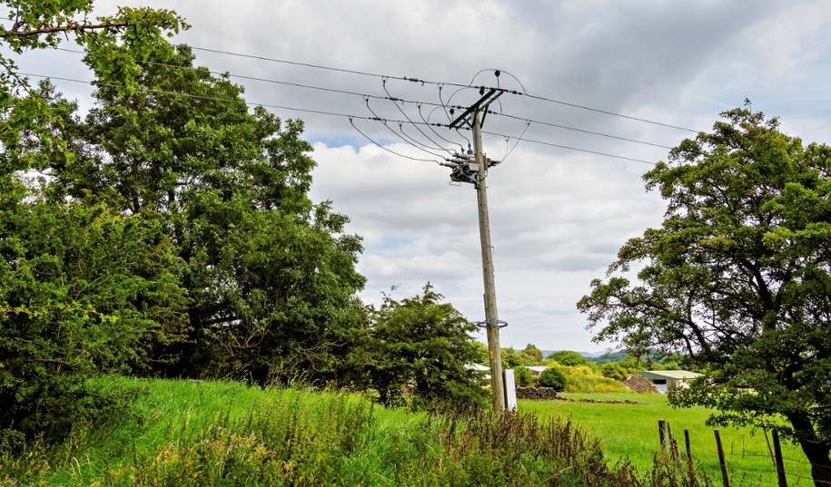 Tragedia podczas przycinania drzew. Pracownik dotknął linii energetycznych