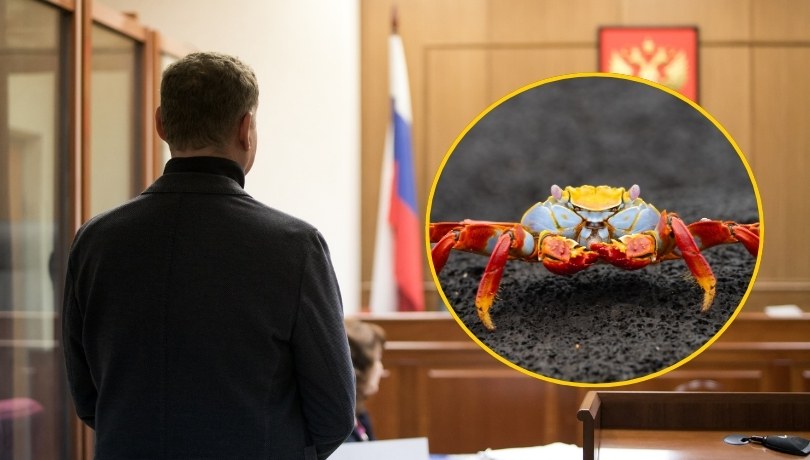 "Król krabów" skazany. Obrona przekonuje, że od dwóch lat nie żyje