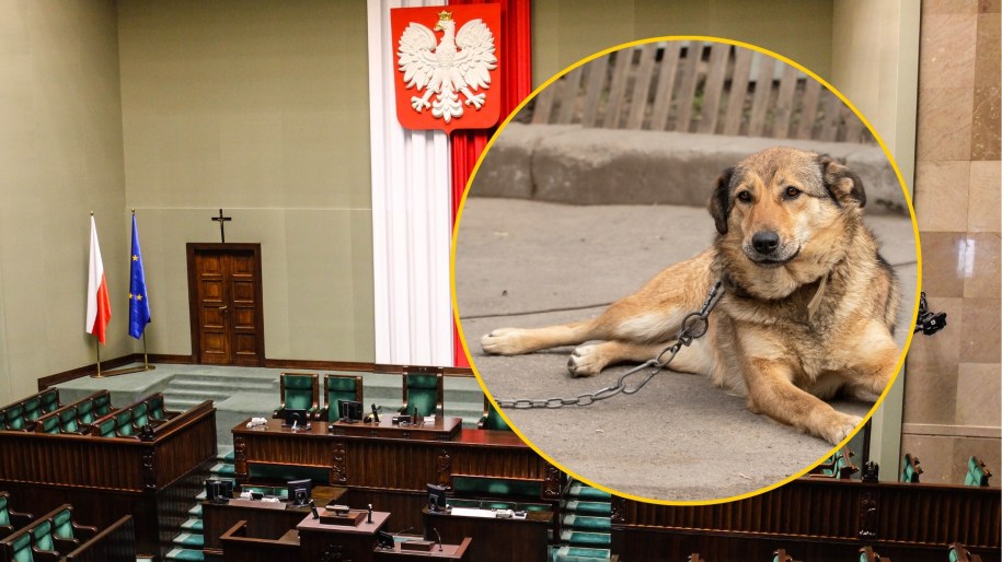 Sejm zdecydował ws. weta prezydenta do ustawy łańcuchowej
