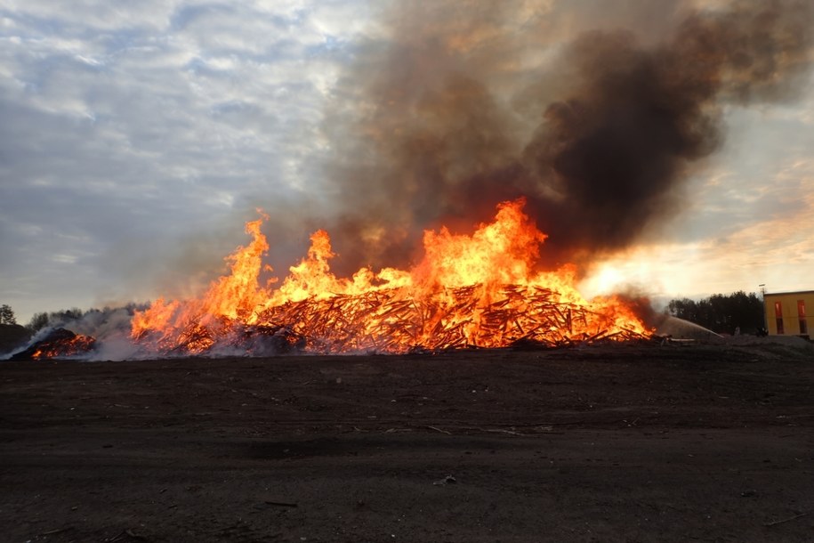 Poszło o kurczaka. Młodzi ludzie pobici i spaleni na stosie