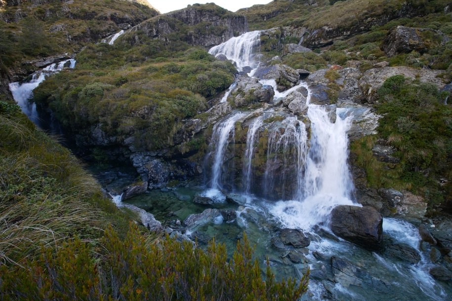 Mokra i wyczerpana czekała tydzień na właścicielkę. Poruszająca historia z happy endem