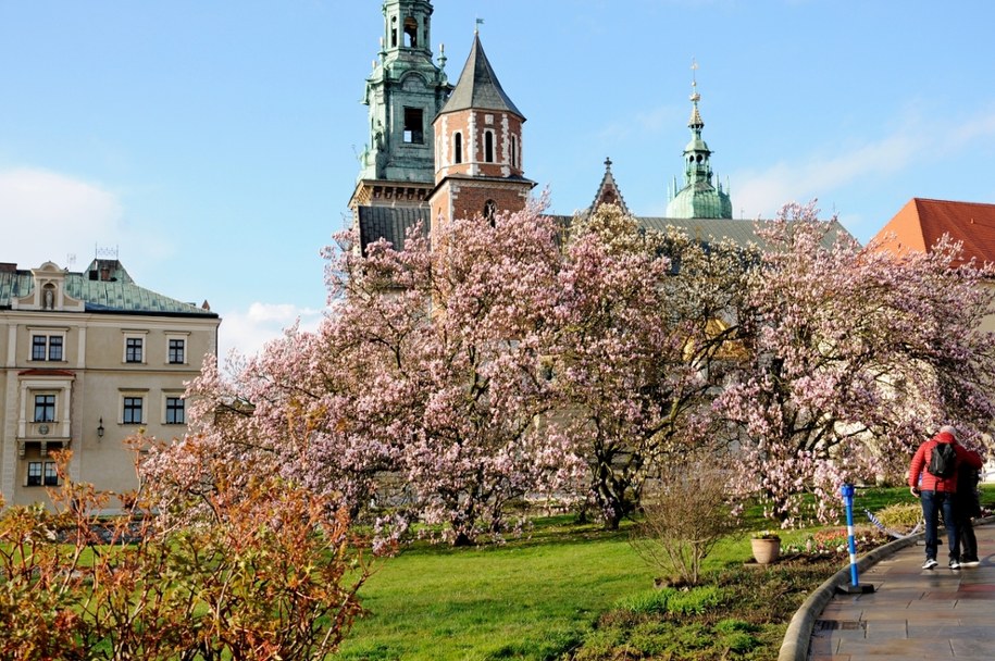 Pogoda na święta. Karty rozda wyż