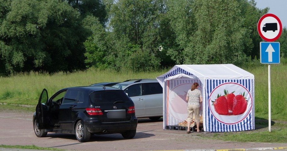 Kwasem w konkurencję? Ktoś niszczy stoiska z truskawkami