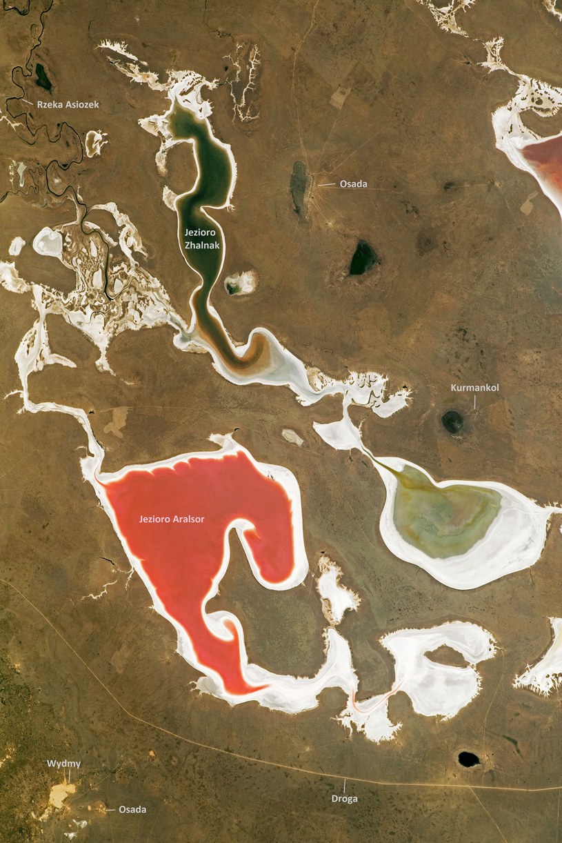 Zdjęcie jezior w zachodniej części Kazachstanu /NASA Earth Observatory /NASA