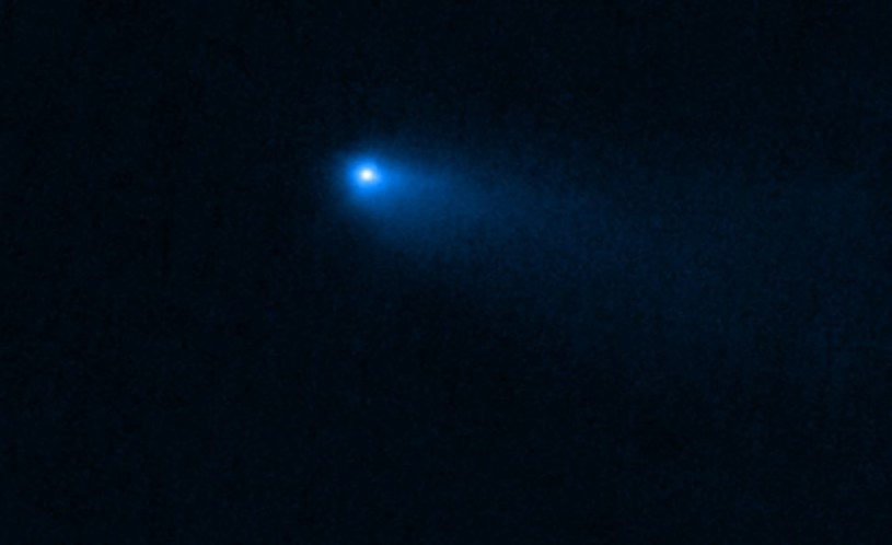 Zdjęcie komety 238P/Read wykonane przez kamerę NIRCam teleskopu Webba /NASA, ESA, CSA, M. Kelley (University of Maryland). Image processing: H. Hsieh (Planetary Science Institute), A. Pagan (STScI) /domena publiczna