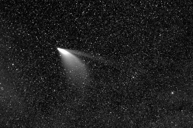 Zdjęcie komety udostępnione przez NASA //NASA/Johns Hopkins APL/Naval Research Lab/Parker Solar Probe / H /PAP/EPA