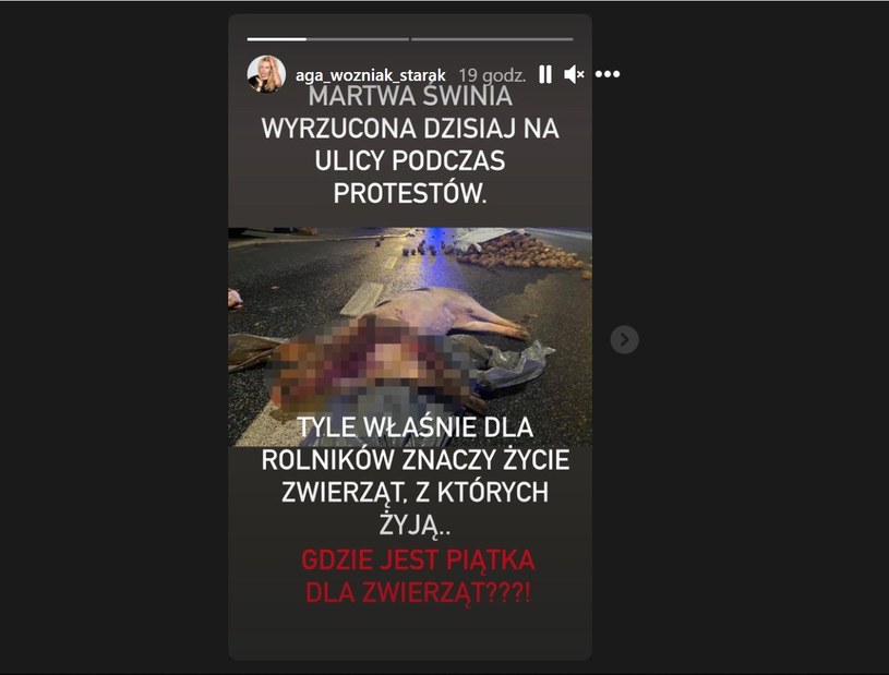 Zdjęcie, które zamieściła Woźniak-Starak na swoim InstaStories /Instagram