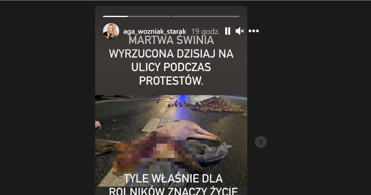 Zdjęcie, które zamieściła Woźniak-Starak na swoim InstaStories /Instagram