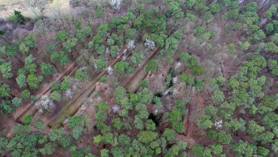 Zdjęcie lotnicze grobowców kujawskich w Wietrzychowicach /fot. Rafał Brzejszczak, Archiwum Fundacji Badań Archeologicznych Imienia Profesora Konrada Jażdżewskiego /