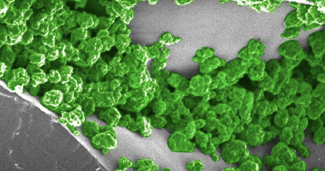 Zdjęcie mikroskopowe świecących nanocząstek /materiały prasowe