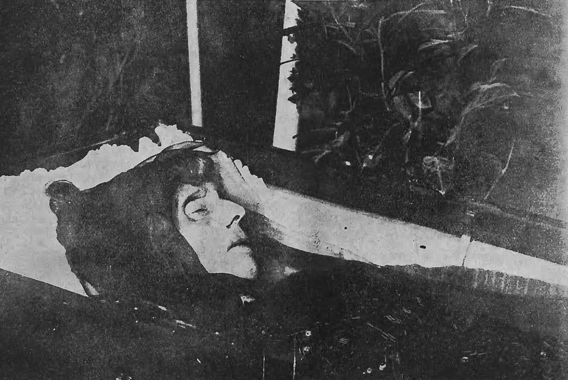 Zdjecie mortualne Gabrieli Zapolskiej z 1921 r., " Nowości Illustrowane" 54/1921 /Wikimedia
