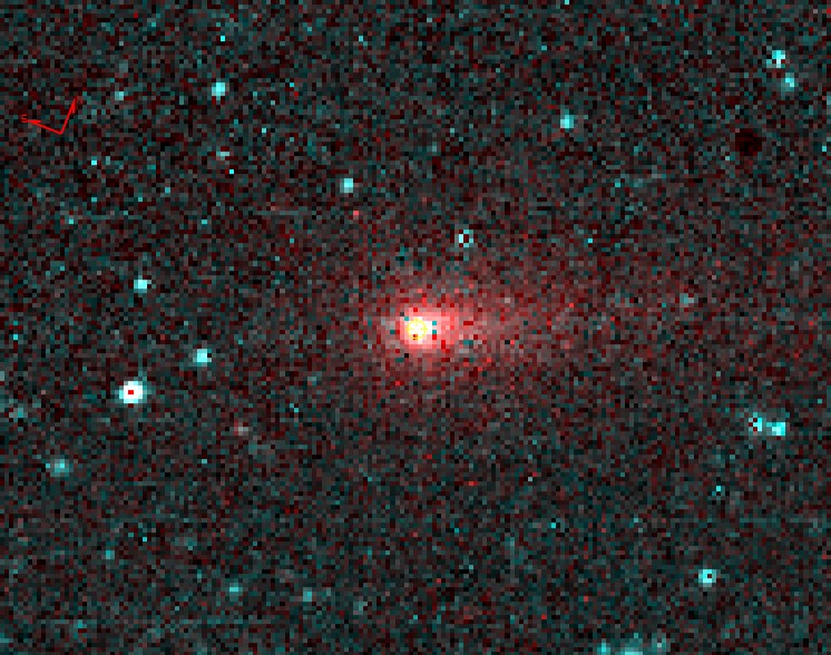 Zdjęcie NEOWISE komety 62P/Tsuchinshan z 14 stycznia 2018 r. /Near-Earth Object Wide-field Infrared Survey Explorer (NEOWISE) /Wikimedia