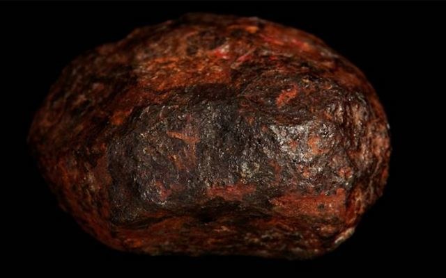 Zdjęcie odnalezionego meteorytu Fot. Muzeum Victorii /materiały prasowe