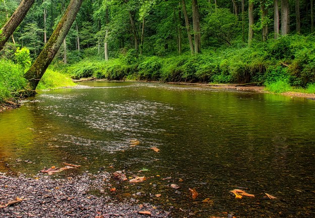 Zdjęcie poglądowe /Dmitry Demkin /Shutterstock